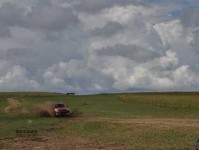 “虎入羊群”啥意思？谁说的？