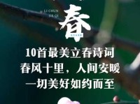 关于立春的唯美句子短句：表达对春天的喜爱