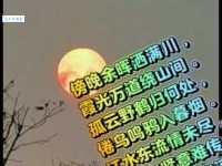落日无人松径里，鬼火高低明灭。