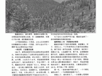 荒山野岭意思解释及典故(真的只有荒凉吗)