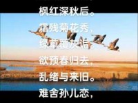 断雁孤鸿的意思是啥？古诗文里的常客！