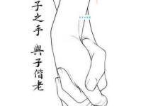 执子之手，与子偕老。