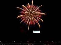 斗鸡走狗意思解释及典故：从古代游戏到成语典故