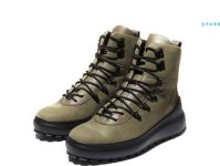 出水芙蓉什么意思：自然之美与纯净之魅