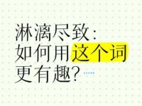 淋漓尽致的意思和例句 轻松掌握这个成语
