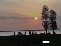 苟延残喘的意思_苟延残喘的近义词｜反义词_苟延残喘造句例句