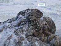 噫兴的意思：噫兴的诗意情怀