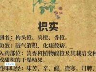 枳道是什么意思？新手快速理解这几个关键点！