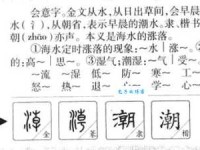 潮组词 解答潮组词有哪些与潮流的潮组词是什么！
