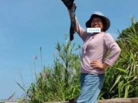 采风是什么意思 采风在不同领域的具体表现