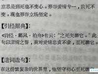 风靡的意思解析为什么它能成为热门词汇