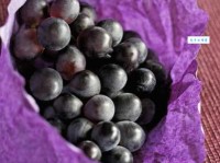 purple什么意思 为什么紫色如此神秘和特别