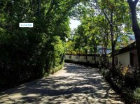 曲径通幽的意思简单说就是小路通往幽静地方