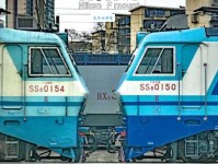 婆娑起舞是什么意思：灵动之美与生命的韵律