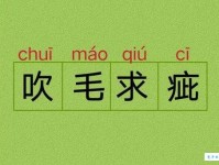 吹毛求疵的意思_吹毛求疵的近义词｜反义词_吹毛求疵造句例句