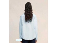 春色满园：意思解释及典故