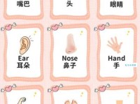 单词ankle是什么意思？图解人体部位帮你轻松记住它