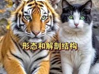 照猫画虎的真正含义是什么？一文读懂