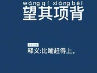 “望其项背”的近义词是什么？有哪些相似表达？