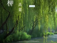 咏柳