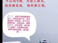 孤舟蓑笠翁，独钓寒江雪。