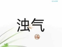 汉字“浊”的读音、意思、用法、释义、造句