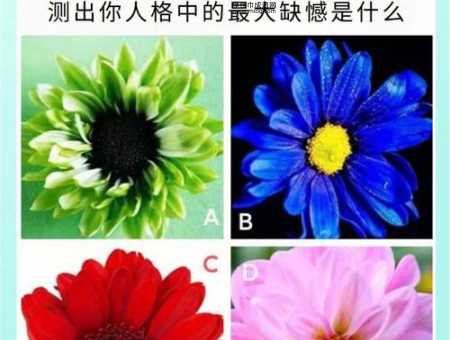 趾高气扬反义词(你喜欢哪一种)