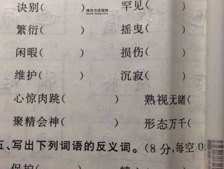 羞涩的反义词是什么(如何克服羞涩)