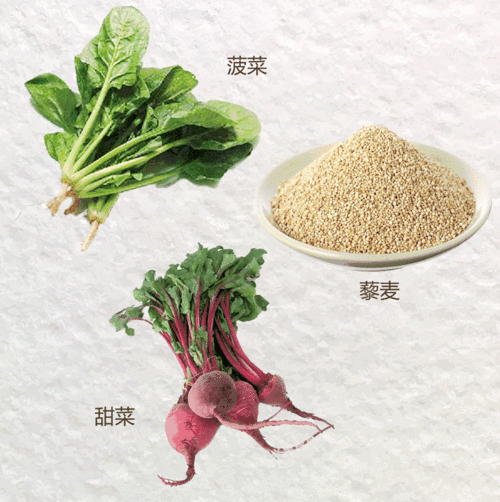 甜菜的拼音(它的拼音是什么)