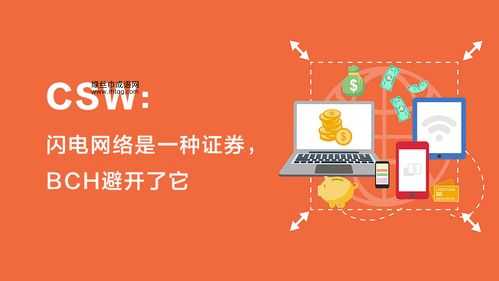 CSW是什么意思(它代表什么技术)