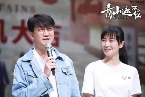 青山遮不住的解释(  它到底想表达什么)