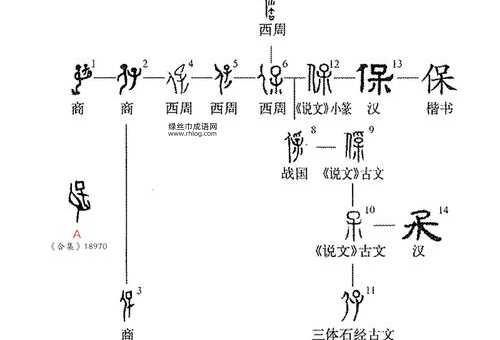 保的拼音(是左右结构还是上下结构)