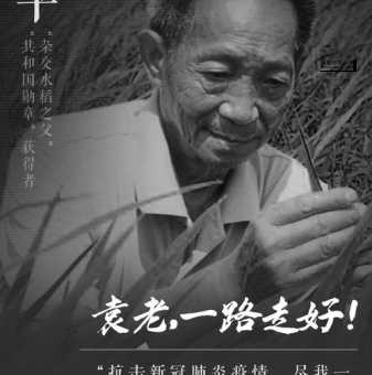 袁隆平的励志故事200字(他是怎样从一位普通的科学家成为民族英雄的)