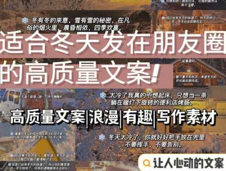 一夜入冬的经典语录(还是冬日暖阳的温柔)