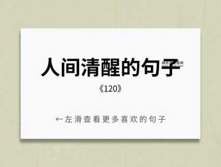 一夜入冬的经典语录(还是冬日暖阳的温柔)