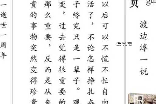 渡边淳一语录(那如何才能拥有它们)