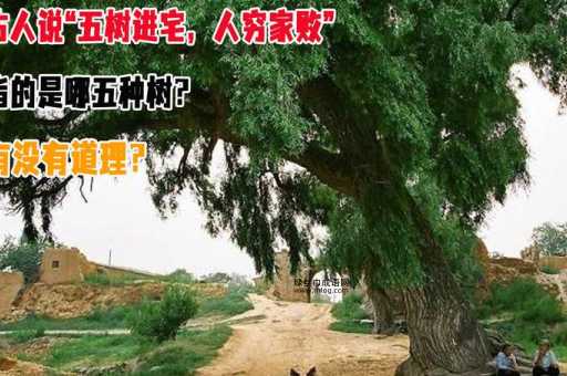 舍策追羊意思解释及典故(说的是什么道理)