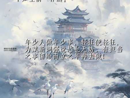 雪中悍刀行霸气语录(哪句让你感觉充满了江湖豪情)