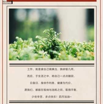四月你好经典语录(有哪些收获值得分享)