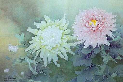 明日黄花意思解释及典故(跟苏轼的诗有关系吗)
