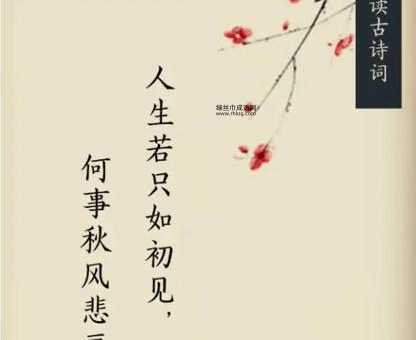 百年之好意思解释及典故(我们该如何理解爱情和婚姻的真谛)