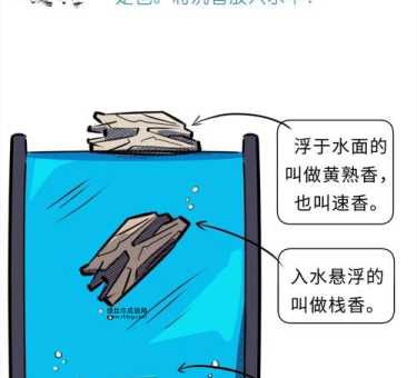 自取灭亡,到底有多可怕? “沉水入火”,是啥意思?