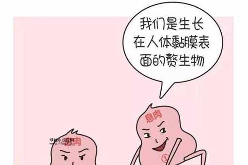 傍花随柳意思解释及典故(它们有啥区别)