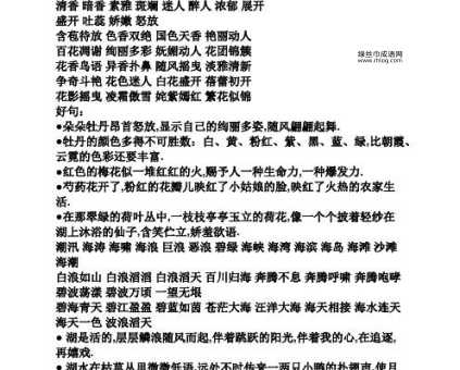 高雅有意境的四字成语(怎么才能用好)