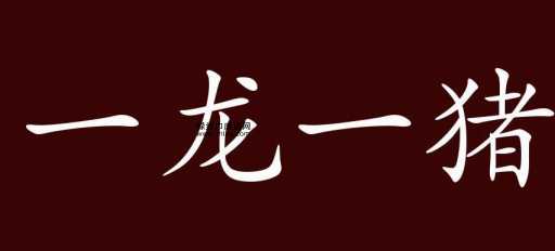 一龙一猪是什么意思?成语释义与出处详解