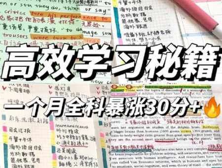 骂人不带脏字?骂人秘籍带你掌握高效怼人术