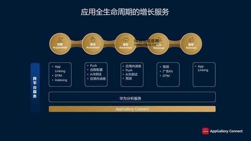 「言简意赅的真正含义与应用场景解析」