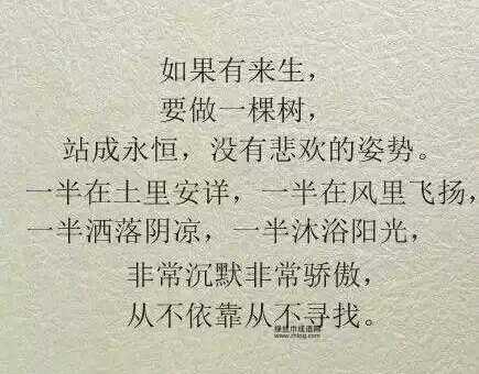 从平淡到出色:反义词揭示精彩人生的另一面