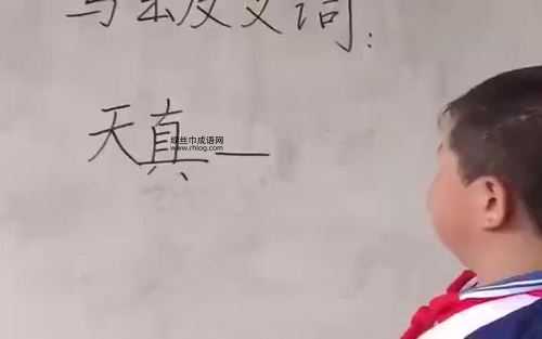 探讨“天真”的反义词:成熟、老练、虚伪与世故解析