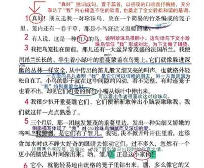 从“坚强不屈”到“卑躬屈膝”:反义词详解